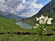 Baite di Mezzeno-Lago Branchino, festa di fiori-16giu23 - FOTOGALLERY